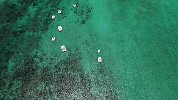 oben Aussicht von Schneewittchen Katamarane schwebend auf das indisch Ozean. Koralle Riff von das indisch Ozean, Mauritius video