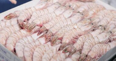 Frozen Shrimp Arranges And Display On Tray With Ice At A Seafood Restaurant. - close up video