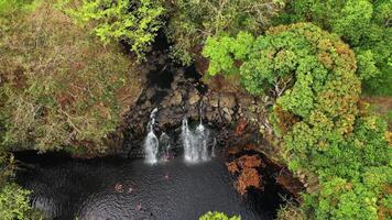 famiglia su il sfondo di il rochester cascata su il isola di mauritius a partire dal un' altezza.cascata nel il giungla di il tropicale isola di mauritius video