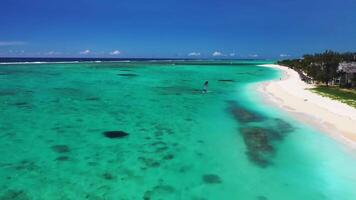 strand med lyx hotell, vit sand och handflatan träd, Mauritius, afrika video