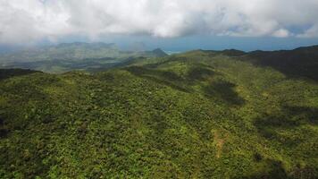 top view of the jungle and blue sky, Mauritius video