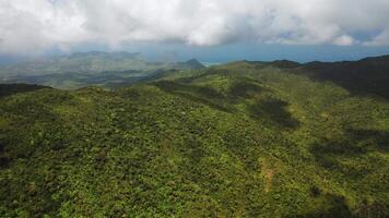 top visie van de oerwoud en blauw lucht, Mauritius video