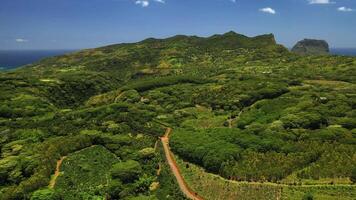 berg topp väg i de djungel av mauritius ö, mauritius video