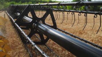 The combine harvester of an agricultural machine harvests from a field of golden ripe wheat.A combine harvester is working in a wheat field.The combine moves across the field and mows wheat video