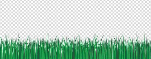 Green grass border. Spring or summer plant field lawn. Vector illustration