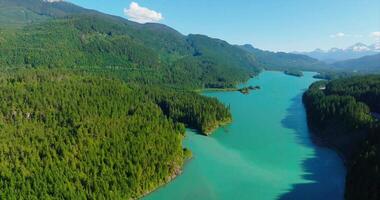 aéreo zumbido ver de margarita lago durante un soleado día. británico Columbia, Canadá video