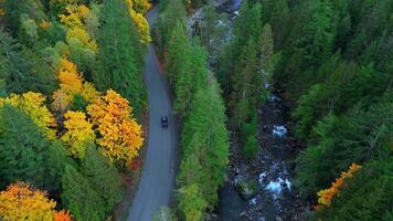 Top down view of cars driving along the road among the autumn forest video
