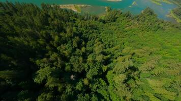 antenne visie van fraser rivier- vallei en berg landschap in Brits Columbia video