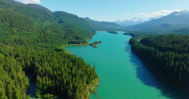 aéreo zumbido ver de margarita lago durante un soleado día. británico Columbia, Canadá video