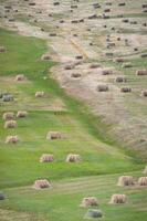 Straw bales on the green field photo