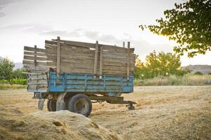 Tractor trailer on straw photo
