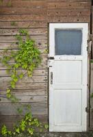 Beautiful Door with Ivy photo