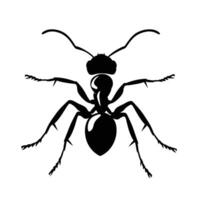 AI generated Silhouette ant full body black color only vector