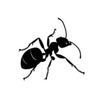 AI generated Silhouette ant full body black color only vector