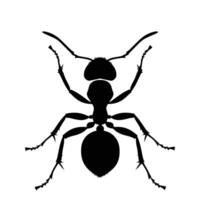ai generado silueta hormiga lleno cuerpo negro color solamente vector
