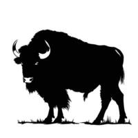 AI generated Silhouette buffalo full body black color only vector