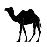 AI generated Silhouette camel full body black color only vector