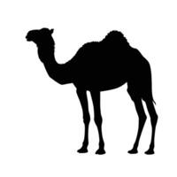 AI generated Silhouette camel full body black color only vector