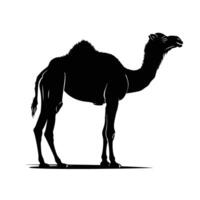 AI generated Silhouette camel full body black color only vector