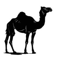 AI generated Silhouette camel full body black color only vector