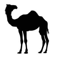 AI generated Silhouette camel full body black color only vector