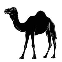 AI generated Silhouette camel full body black color only vector