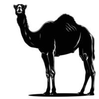 AI generated Silhouette camel full body black color only vector