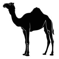 AI generated Silhouette camel full body black color only vector