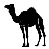 AI generated Silhouette camel full body black color only vector