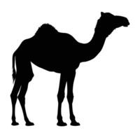 AI generated Silhouette camel full body black color only vector