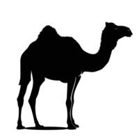 AI generated Silhouette camel full body black color only vector