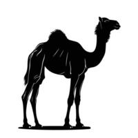 AI generated Silhouette camel full body black color only vector