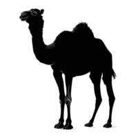 AI generated Silhouette camel full body black color only vector