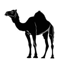 AI generated Silhouette camel full body black color only vector