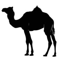 AI generated Silhouette camel full body black color only vector