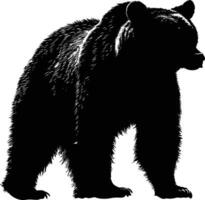 AI generated Silhouette bear black color only vector