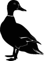 AI generated Silhouette duck black color only vector