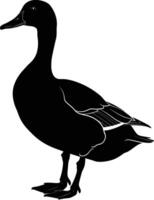 AI generated Silhouette duck black color only vector