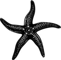 AI generated Silhouette starfish black color only vector