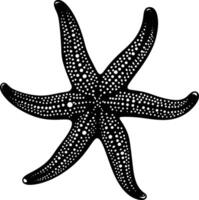 AI generated Silhouette starfish black color only vector