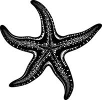 ai generado silueta estrella de mar negro color solamente vector