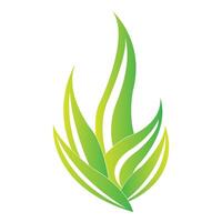 Aloe vera icon logo vector design template