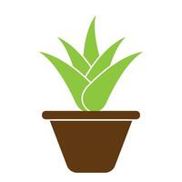 Aloe vera icon logo vector design template