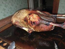 Goose bird baked in the oven for Christmas photo