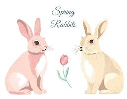 Easter rabbit, easter bunny. Vector illustration with two rabbits. Easter spring set