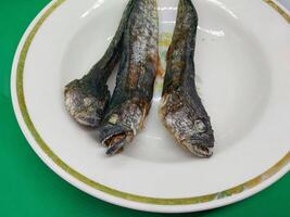 Dried goby fish in a plate photo