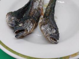 Dried goby fish in a plate photo