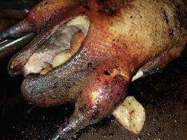 Goose bird baked in the oven for Christmas photo