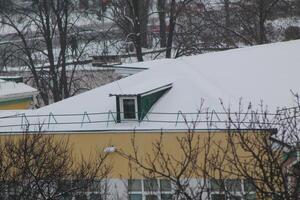 Roofs and chimneys covered with snow in winter photo