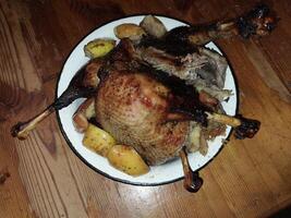 Goose bird baked in the oven for Christmas photo